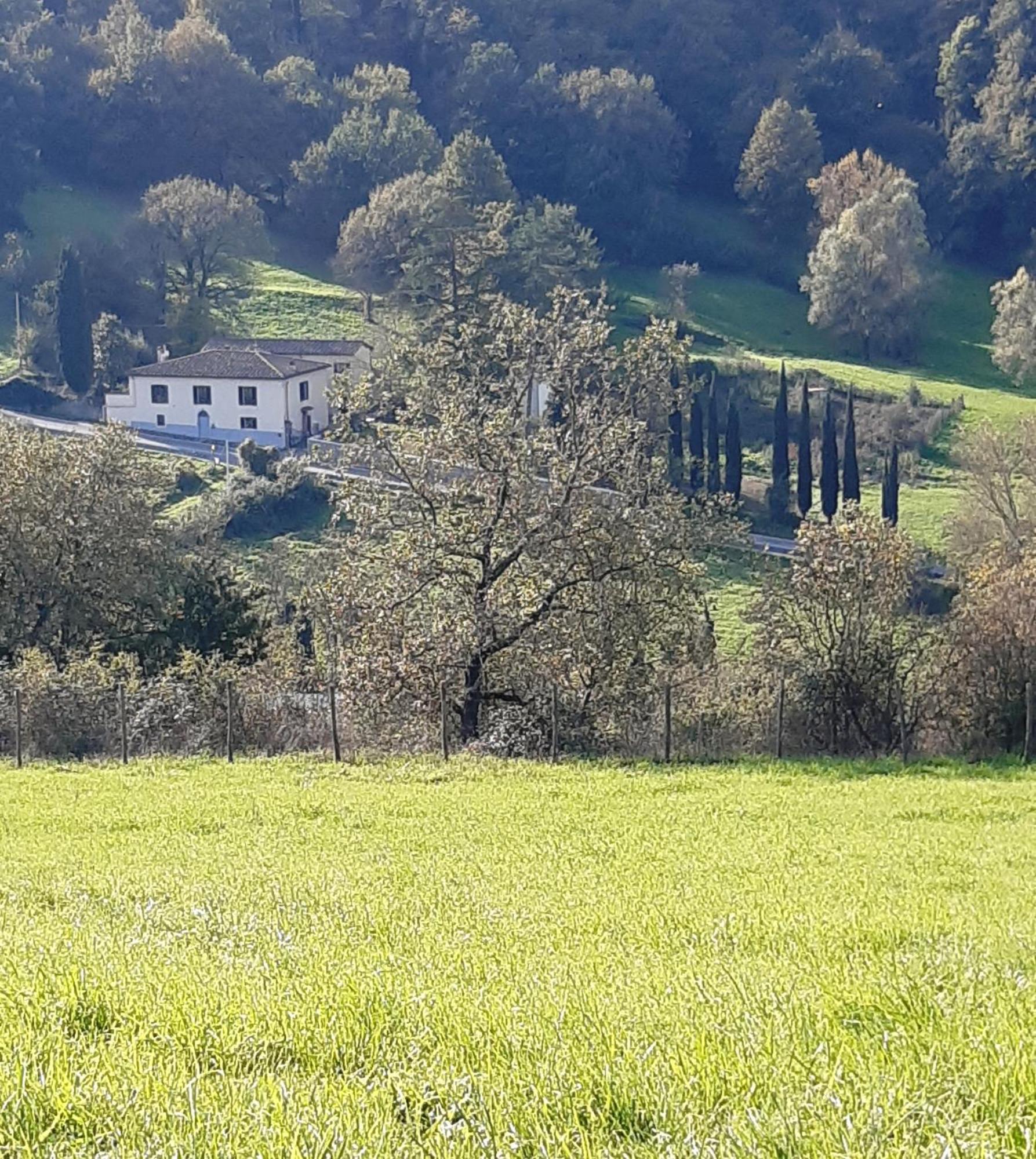 Casa Al Miglio Villa Pratolino Eksteriør billede